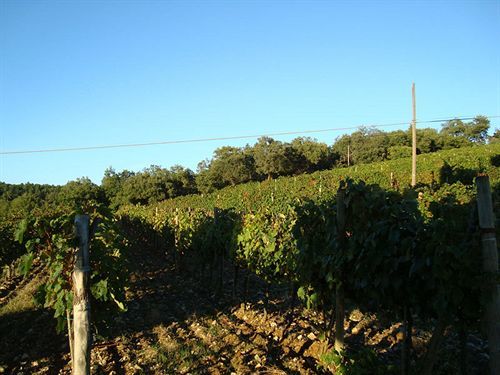 Agriturismo Il Villino Fonterutoli Ngoại thất bức ảnh